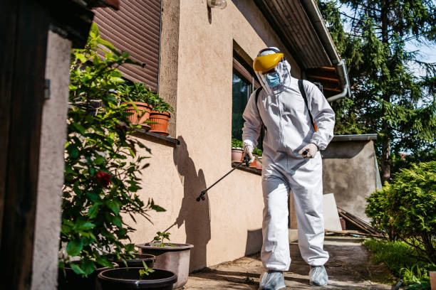 Best Affordable Pest Control Services  in Mantua, UT