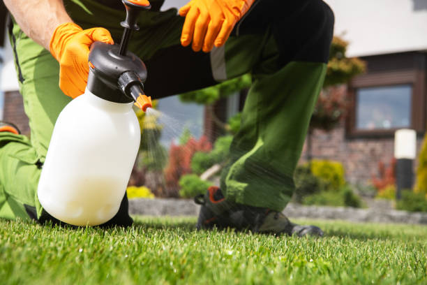 Best Pest Control Near Me in Mantua, UT