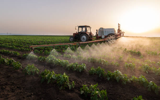 Best Pest Prevention Services  in Mantua, UT