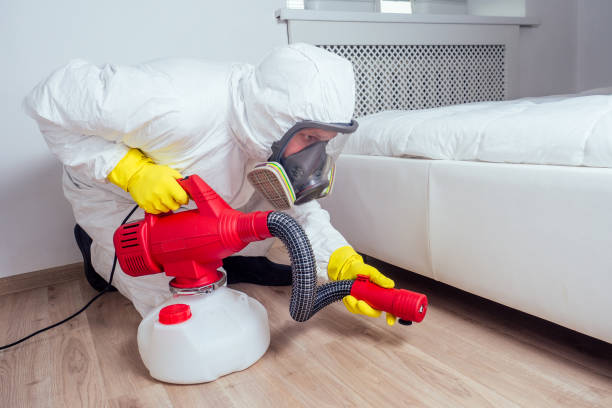 Best Pest Removal Services  in Mantua, UT