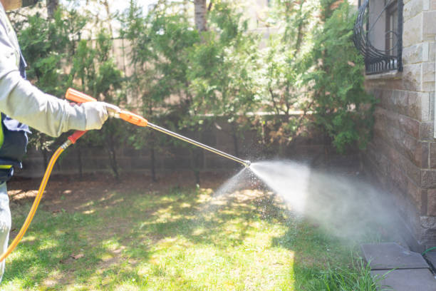 Best Cockroach Control Services  in Mantua, UT