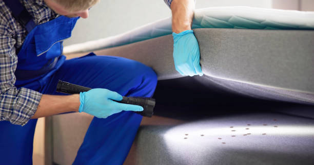 Best Pest Control Near Me  in Mantua, UT
